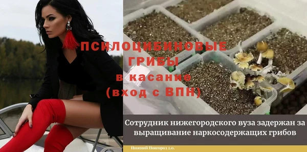 соль ск Белокуриха