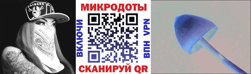 купить закладку  Высоковск  Галлюциногенные грибы GOLDEN TEACHER 